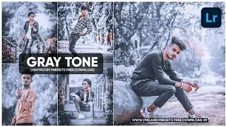 Gray Lightroom Preset Free || Adobe Lightroom Preset Free || Gray Preset