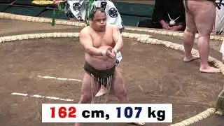 Sumo's shortest man retires (小兵力士爆羅騎の相撲を称賛する総集編)