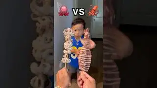 🐙 vs 🦑