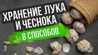 8 способов хранения лука и чеснока