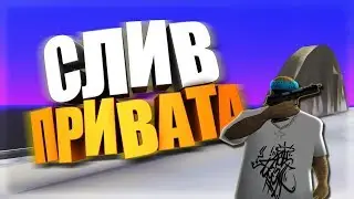 СЛИВ ПРИВАТНОГО ГАН ПАКА #2/SLIV PRIVAT GUN PACK|GTA SAMP