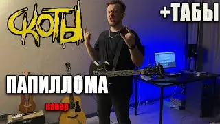 скоты - папиллома  (guitar cover) табы аккорды