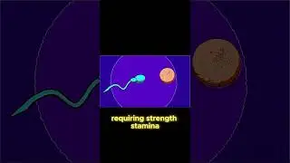 The Acrosome Reaction: Sperms Epic Journey