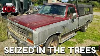 Forest Fresh - Will This Seized 1986 Dodge D150 Run Again After 17 Years In The Woods?