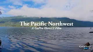 The Pacific Northwest | GoPro Hero12 + Dehancer Film Emulation