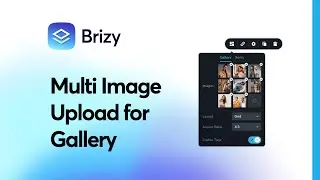 Quickly Upload Multiple Images for Gallery Element with Brizy