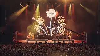 ZOO - LA MESTRA (LIVE PALAU ST JORDI)