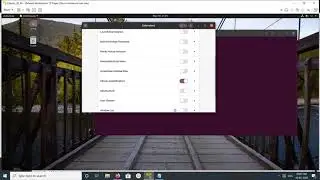 How to Remove Dock Panel on Ubuntu 20.04 18.04