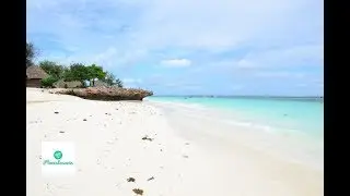 Zanzibar Travel Guide - Tanzania paradise