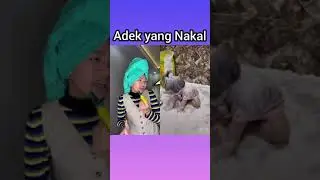 Adek main Tepung Nakal banget ! Ngakak 
