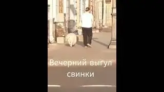 Санкт-Петербург сейчас