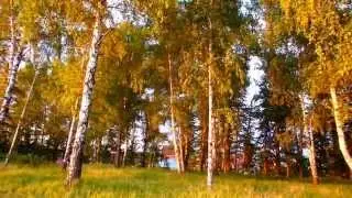 Исаак Шварц. Музыка из фильма 