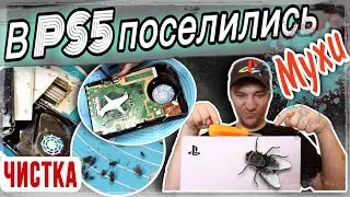 Как разобрать и почистить Playstation 5  / Чистка и разборка Ps5 Digital