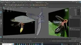 Modeling a Firefly, Finish: Adding the Wings.