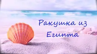 Ракушка из Египта. Красивая мелодия для гитары.