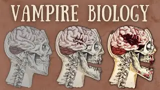 Vampire Biology Explained | The Science of Vampirism