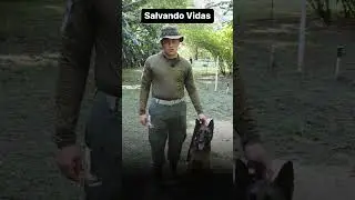 Salvando vidas y haciendo más segura a Colombia