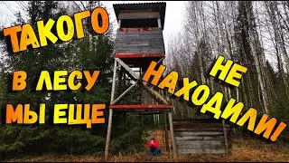 ТАКОГО еще не видели! НЕОБЫЧНАЯ НАХОДКА в лесу. Поздняя осень в глубинке. Осенью в лесу