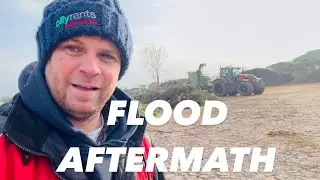 FLOOD DAMAGE & DOG FIELD MAINTENANCE WITH KIDS AnswerAsAPercent 1768