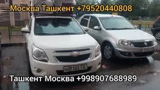 Тула Ташкент такси Воронеж Ташкент такси Москва Ташкент такси #москваташкент