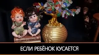 ЕСЛИ РЕБЁНОК КУСАЕТСЯ…ЗАГОВОР ДЛЯ ВСЕХ… & ИНГА ХОСРОЕВА