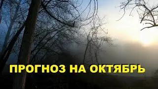Все Благоприятные и Неблагоприятные дни для рыбалки в октябре 2022 года