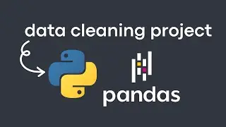 Data Cleaning in Python with Real-Life Dataset