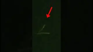 Should we be worried about this? 