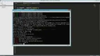 Write a Node Command Line Application