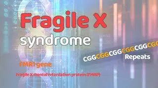 Fragile X syndrome | Genetic disorders | FMR1 gene | CGG repeats | FMRP