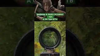 ВАЖНЫЕ Моменты Прорисовки в ARENA BREAKOUT #DIXON #sniper #games #mobile