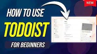 How to Use Todoist - Organize Your Tasks Like a Pro