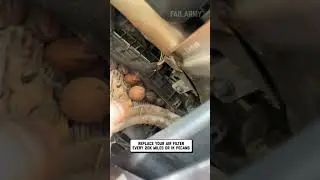 Truck Engine Stuffed With Pecans