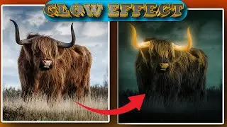 Ethiopia: የአዶቤ ፎቶሾፕ መሰረታዊ መማሪያ 2024 | Adobe Photoshop Tutorial Glowing Effect 2024