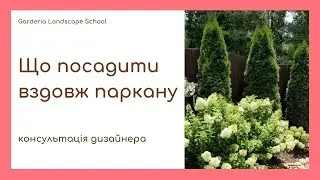 Що ПОСАДИТИ вздовж паркану, щоб ЗАКРИТИСЬ ВІД СУСІДІВ