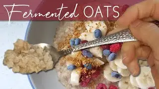 FERMENTED OATS - Reduce ANTI-NUTRIENTS using this DOUBLE METHOD!