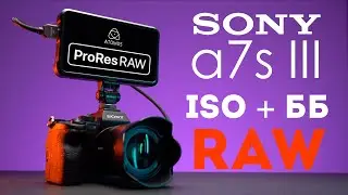 Sony a7s iii ProRes RAW Atomos Ninja V ISO и Баланс Белого обзор и сравнение