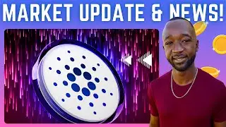 Cardano's TOP Performing Tokens, New Integrations & Governance Updates!