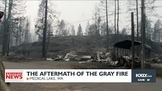 'It's all gone': Couple one of many with homes destroyed in Gray fire