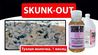 С какой попытки Сканкаут удаляет запах тухлого молока?
