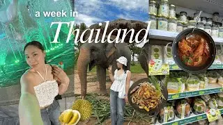5 DAYS in Thailand with friends (24 HR layover in Singapore!)