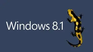 How to Dual Boot Windows 8 and Ubuntu 13.10