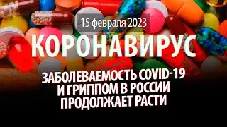 В России продолжает расти заболеваемость COVID-19 и гриппа. Статистика коронавируса,15 февраля 2023