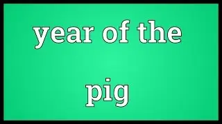 Year of the pig Meaning