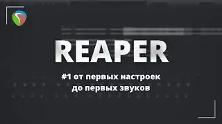 Reaper. Крутим гитарный звук.