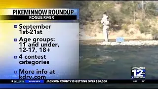 ODFW's Rogue River Round Up starts September 1st.