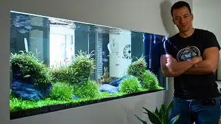 400L IN-WALL ROOM DIVIDER AQUARIUM!!!