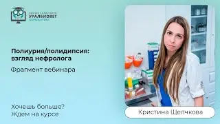 Фрагмент вебинара 