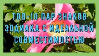 ТОП-10 ПАР ЗНАКОВ ЗОДИАКА С ИДЕАЛЬНОЙ СОВМЕСТИМОСТЬЮ