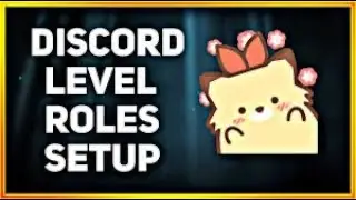 How to setup a leveling system with Amari bot on a discord server 2021